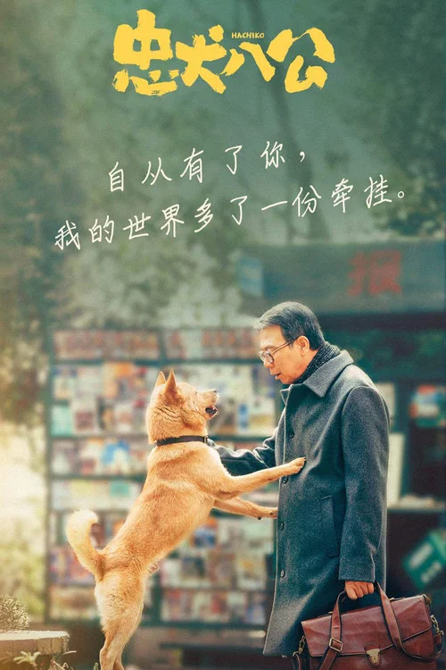 忠犬八公剧照12