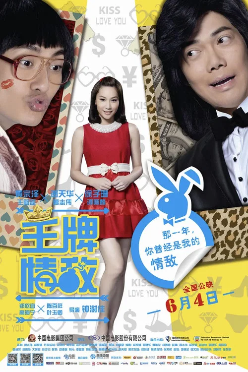 王牌情敌(2013)海报