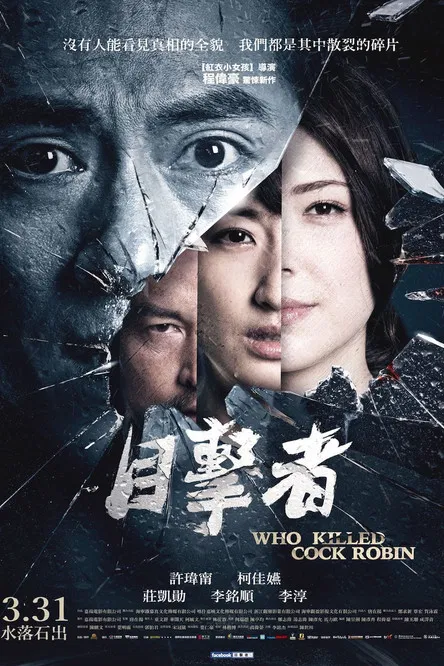 目击者之追凶(2017)海报