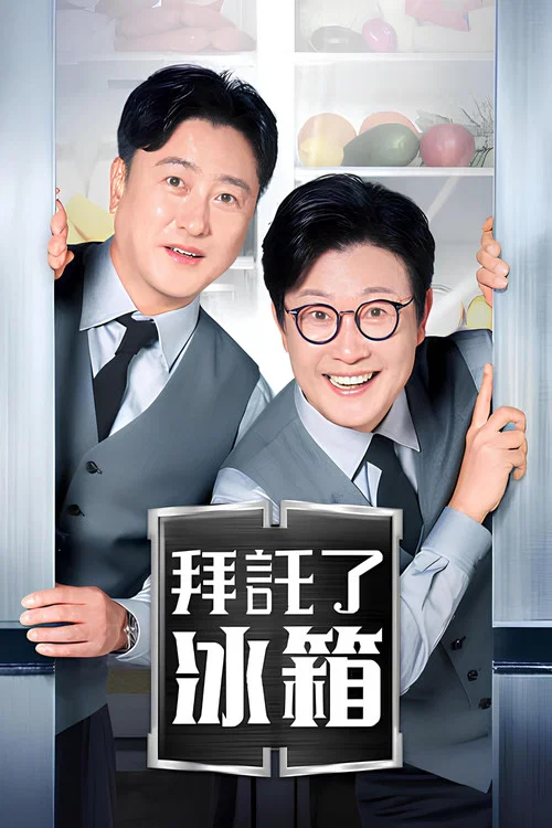 拜托了冰箱(2014)海报