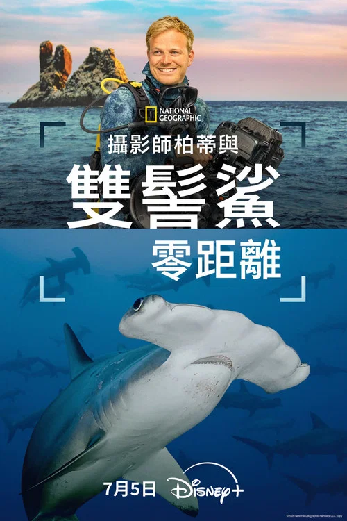 摄影师贝尔蒂与双髻鲨零距离(2026)海报