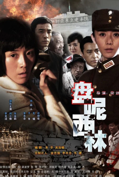 盘尼西林1944(2008)海报