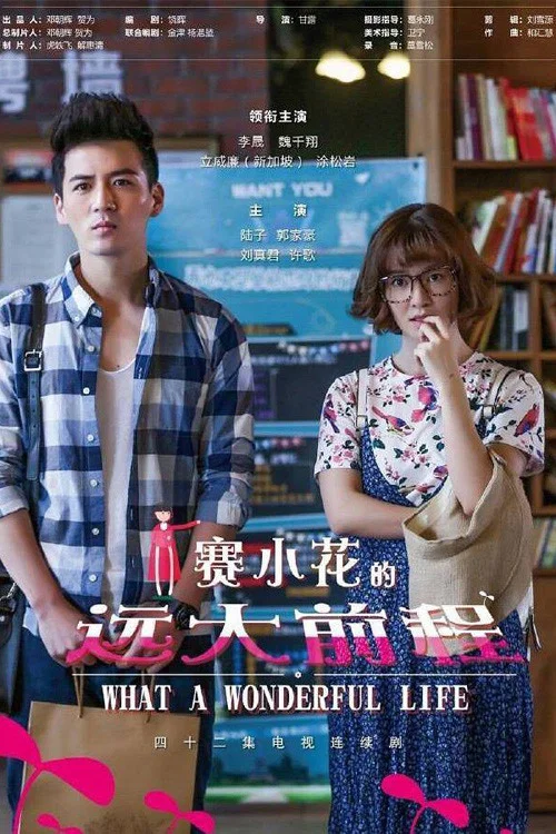 赛小花的远大前程(2017)海报