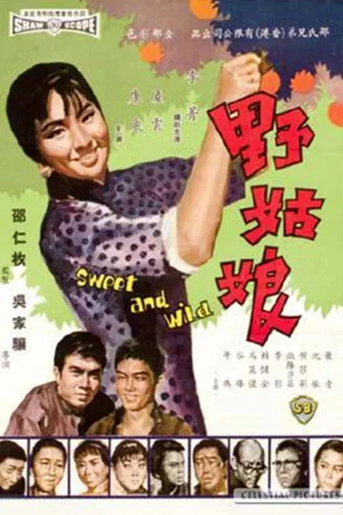 野姑娘(1966)海报