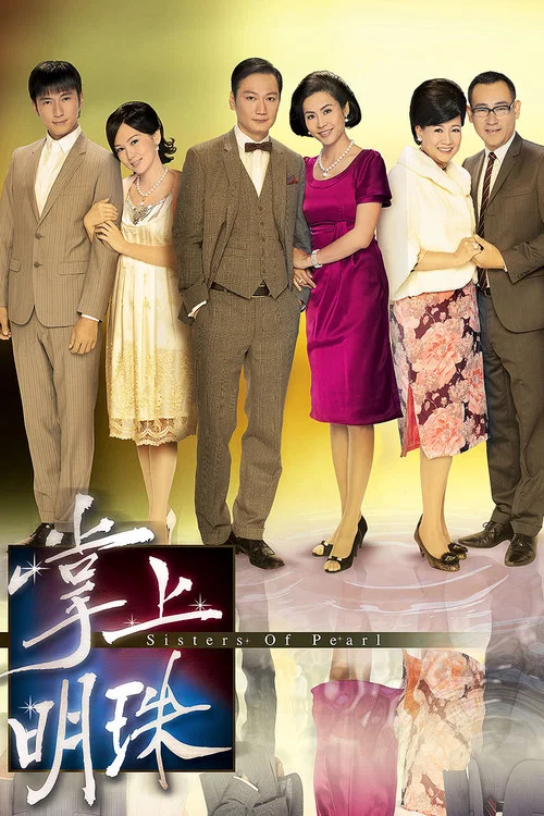 掌上明珠(2010)海报