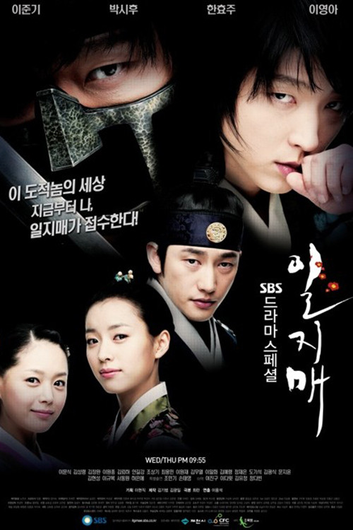 一枝梅(2008)海报