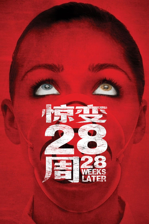 惊变28周剧照2