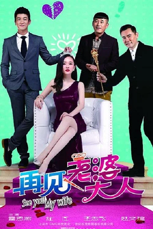 再见,老婆大人(2016)海报