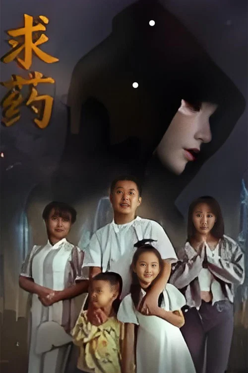 求药(2026)海报