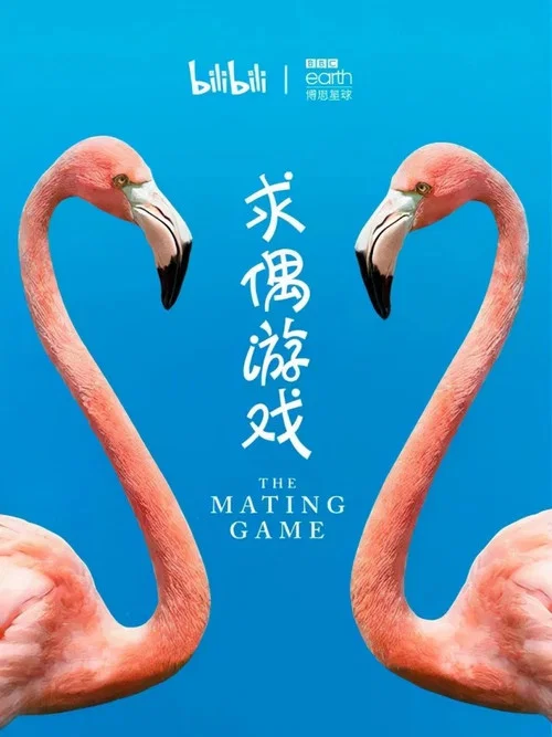 求偶游戏(2021)海报