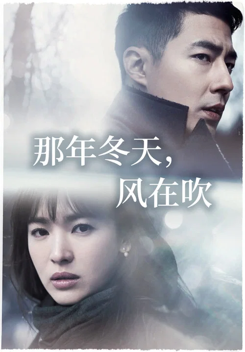 那年冬天,风在吹(2013)海报