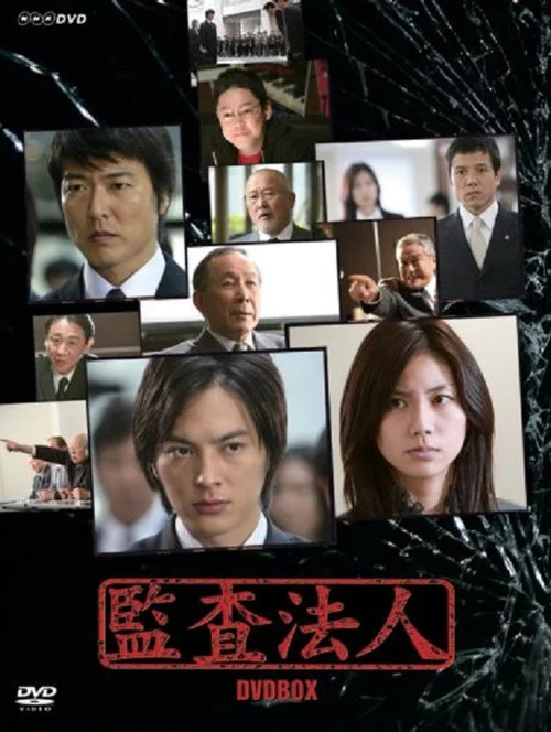 审计风云(2008)海报
