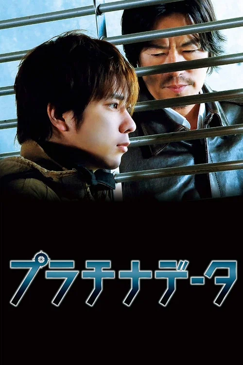 白金数据(2013)海报