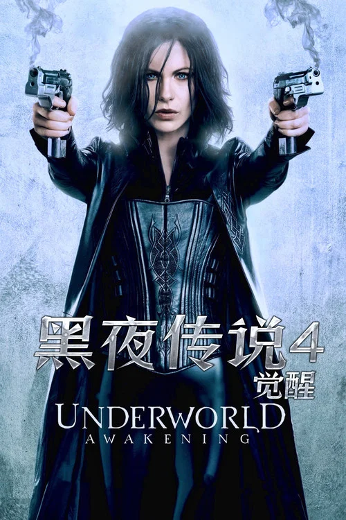黑夜传说4:觉醒(2012)海报