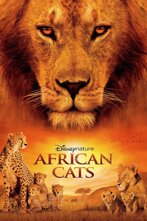 非洲猫科(2011)海报