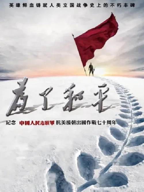 为了和平(2020)海报