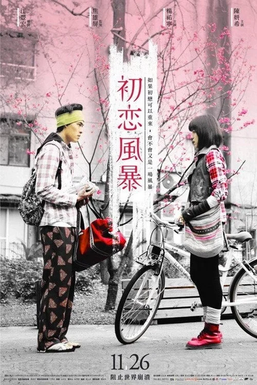 初恋风暴1978(2010)海报
