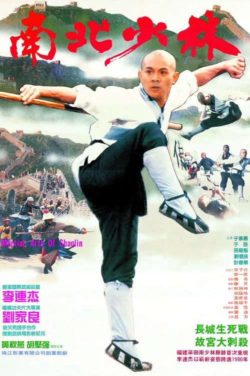 南北少林剧照8