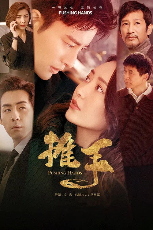 推手(2019)海报