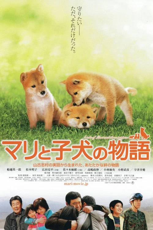 爱犬的奇迹(2007)海报