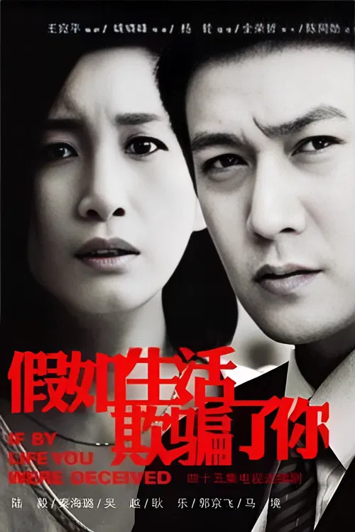 假如生活欺骗了你(2013)海报
