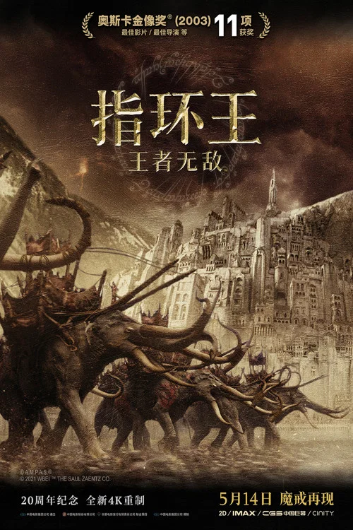 指环王3:王者无敌剧照6