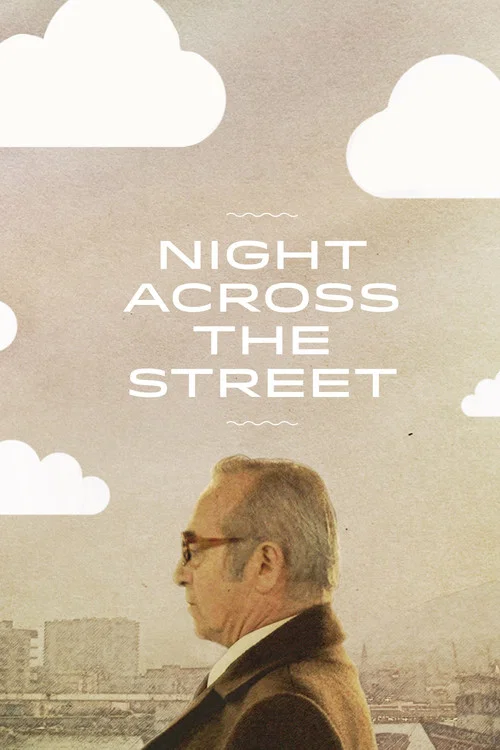对面的夜(2012)海报
