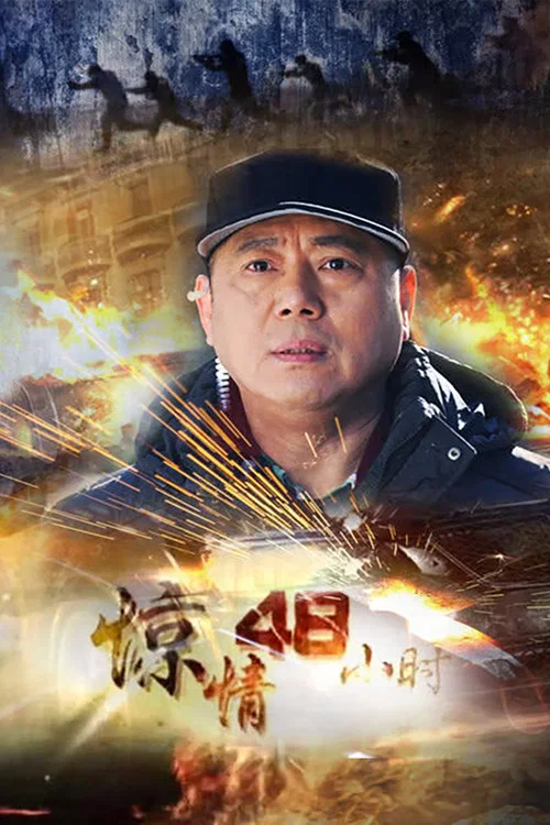 惊情48小时(2013)海报