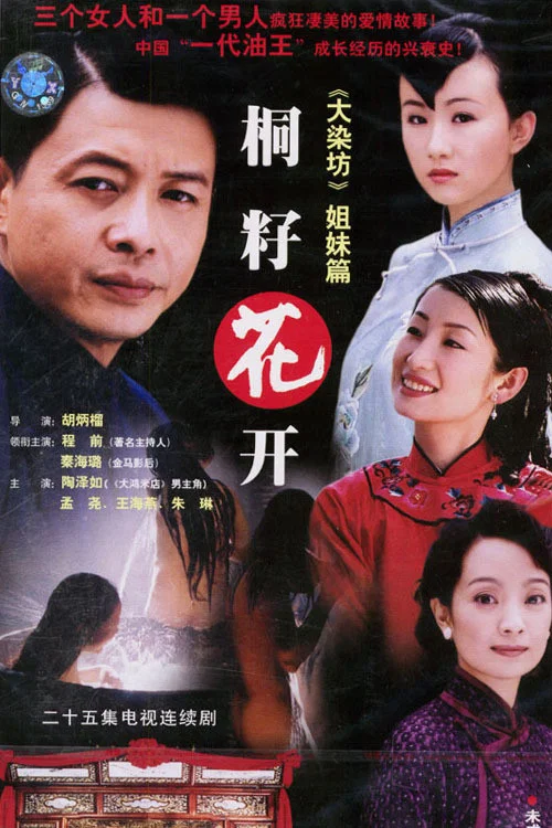 桐籽花开(2005)海报