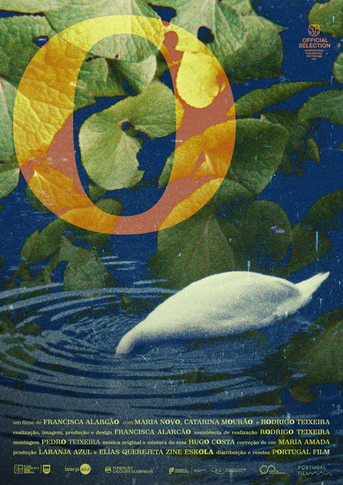 o(2026)海报