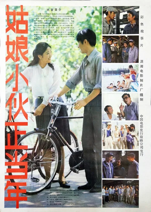 姑娘小伙正当年(1984)海报