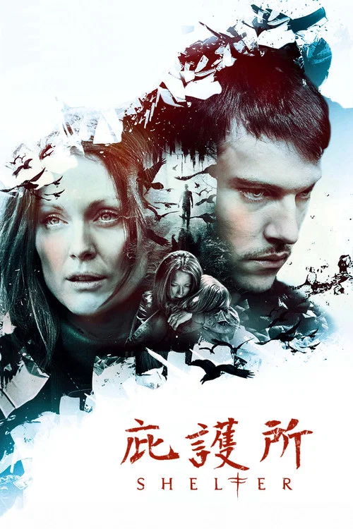 庇护所(2010)海报