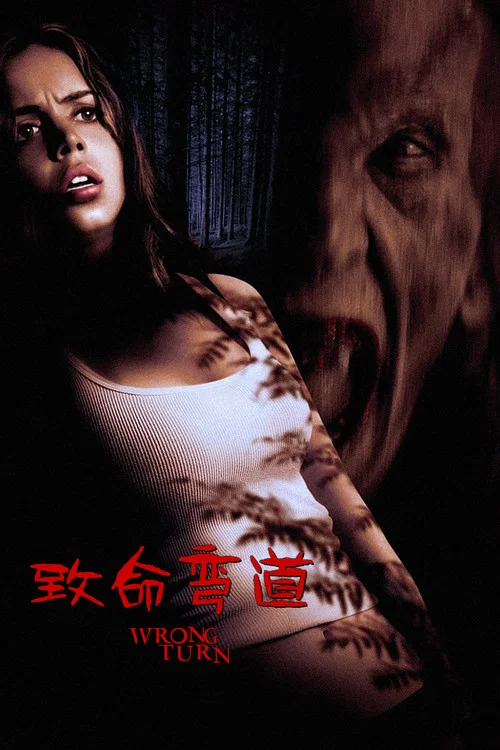 致命弯道(2003)海报