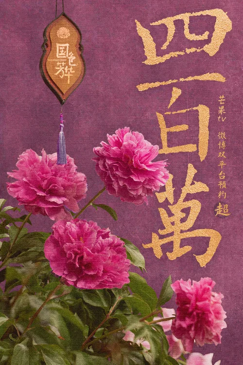 锦绣芳华剧照14