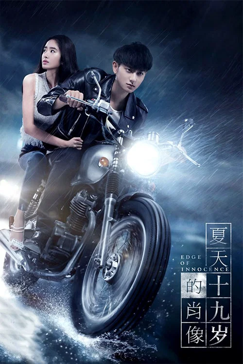 夏天19岁的肖像(2017)海报
