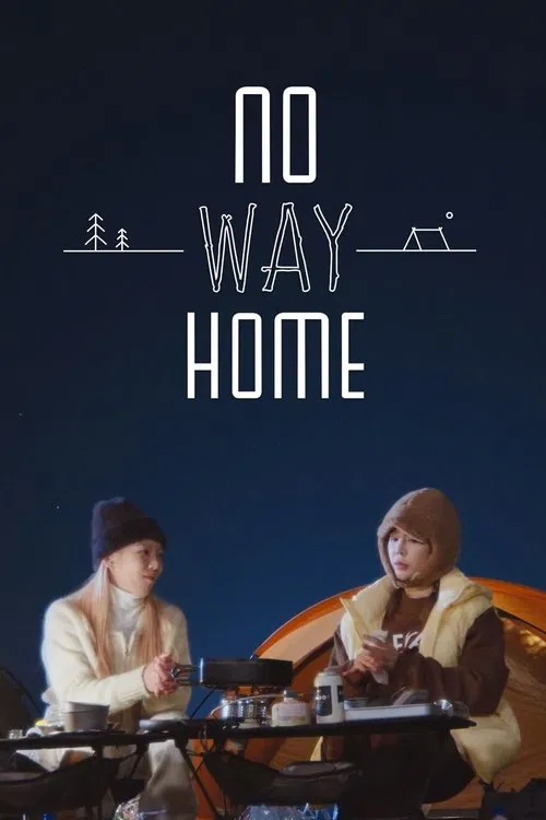 NO WAY HOME(2024)海报