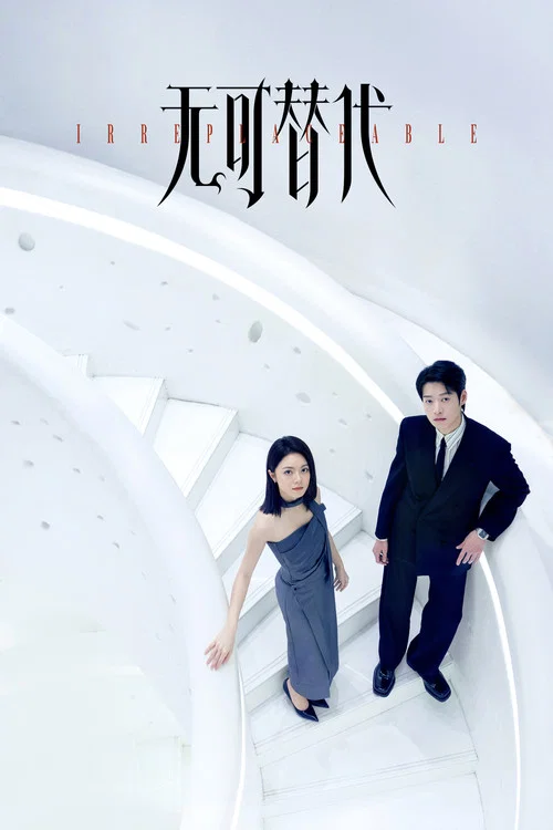 无可替代剧照2