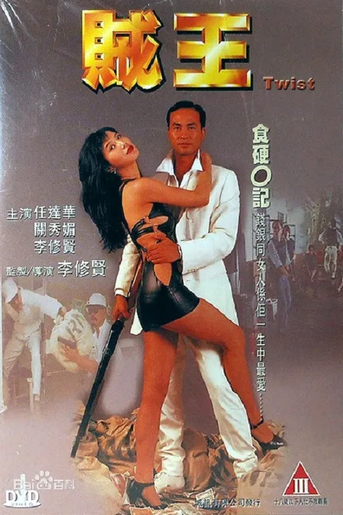 贼王(1995)海报