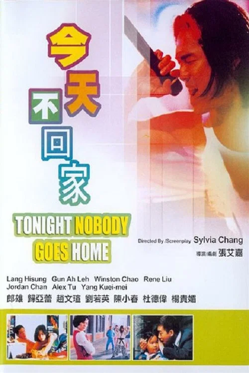 今天不回家(1996)海报