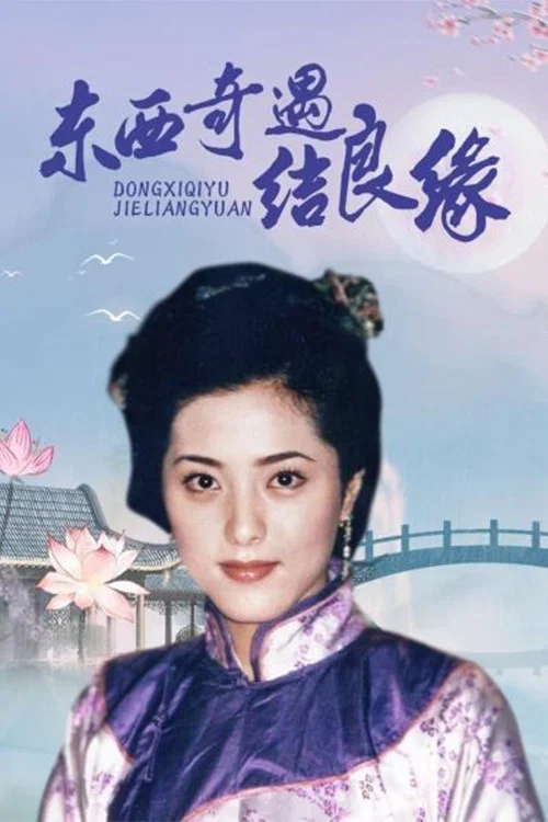 东西奇遇结良缘(2001)海报