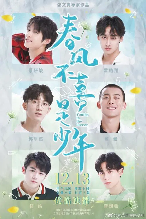 春风不喜是少年(2020)海报