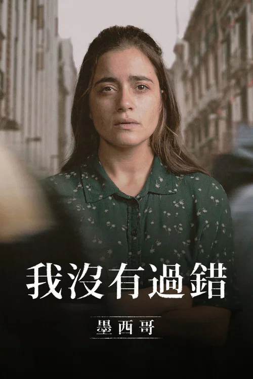 错不在我(2021)海报