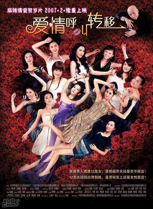 爱情呼叫转移(2007)海报