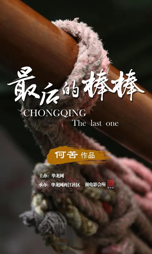 最后的棒棒(2016)海报