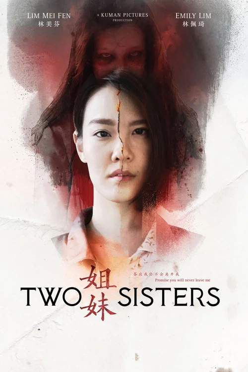 姐姐妹妹(2019)海报