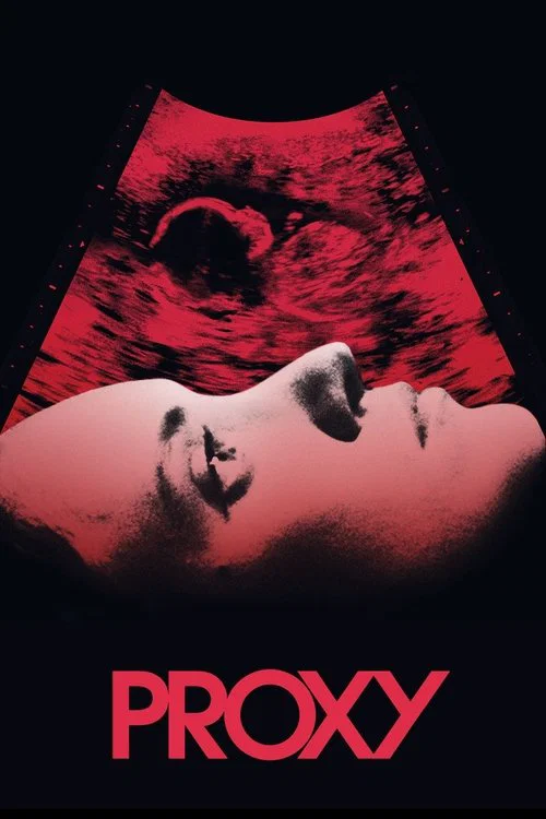绝命代理(2014)海报