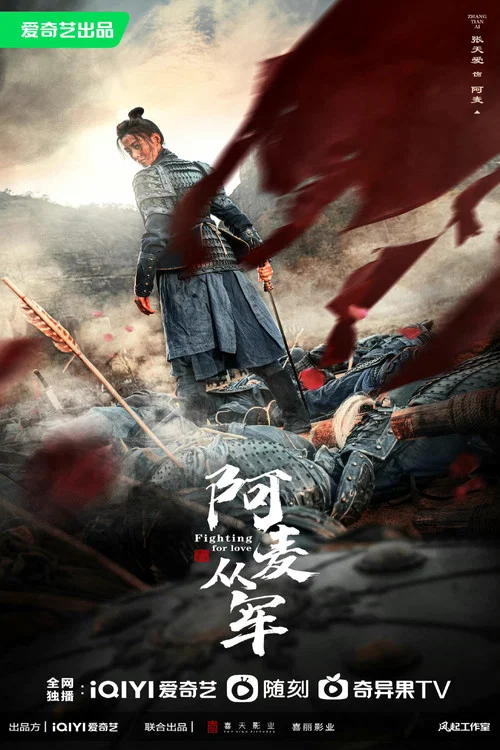 阿麦从军剧照6