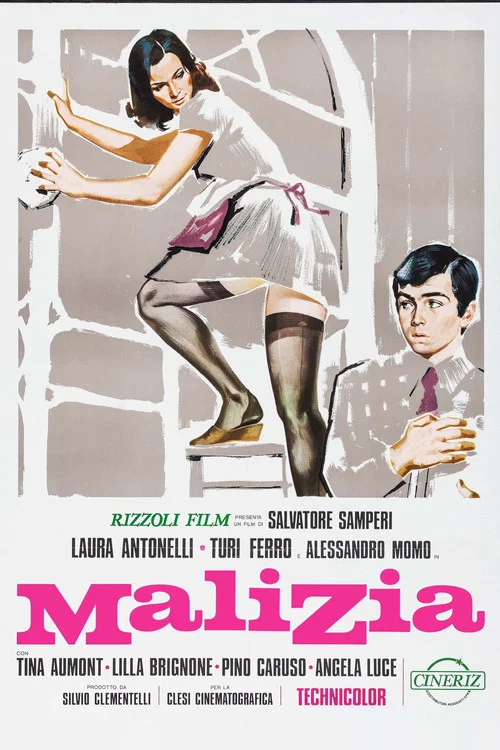 青涩体验(1973)海报