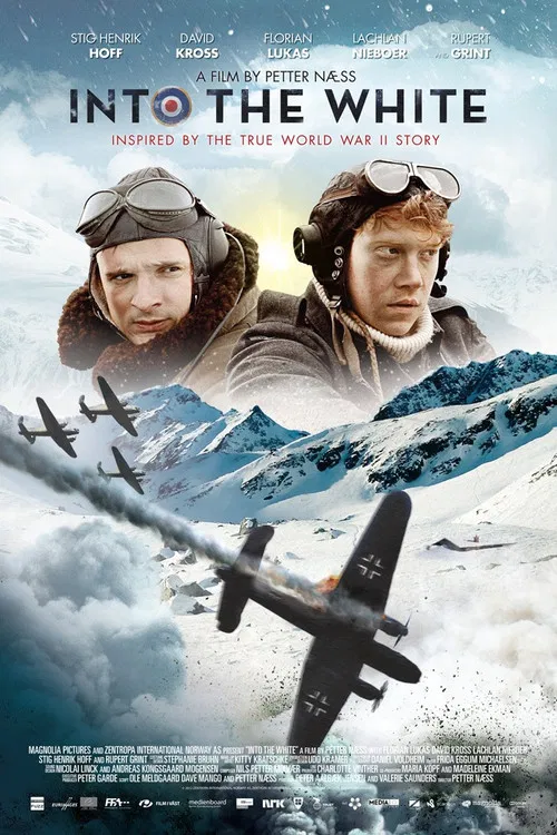 白色严冬(2012)海报