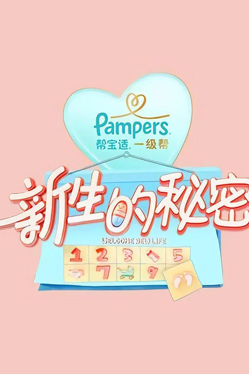 新生的秘密(2019)海报